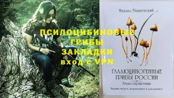 дживик Аркадак