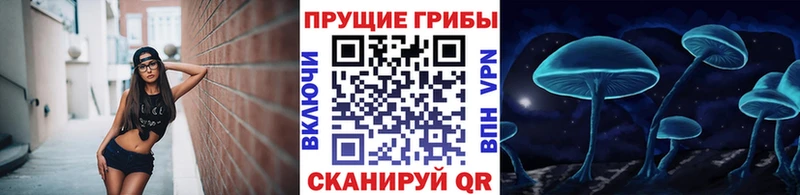 Галлюциногенные грибы Psilocybine cubensis  Пермь 