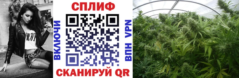 Конопля индика Пермь